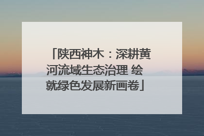 陕西神木：深耕黄河流域生态治理 绘就绿色发展新画卷
