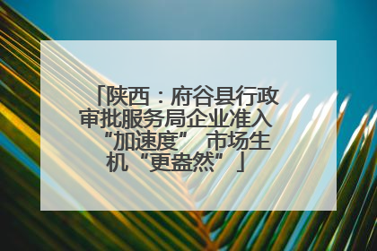 陕西：府谷县行政审批服务局企业准入“加速度” 市场生机“更盎然”