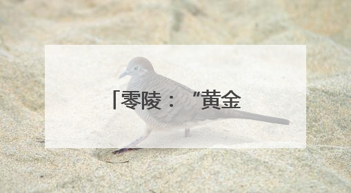 零陵：“黄金搭档”奏响丰收“交响曲”