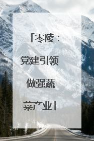零陵：党建引领 做强蔬菜产业