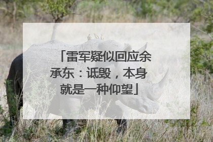 雷军疑似回应余承东：诋毁，本身就是一种仰望