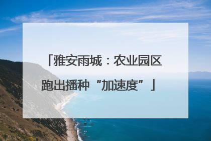雅安雨城：农业园区跑出播种“加速度”