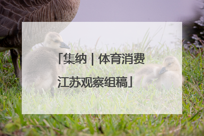 集纳｜体育消费江苏观察组稿