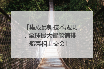 集成最新技术成果，全球最大智能铺排船亮相上交会