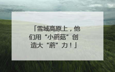 雪域高原上，他们用“小蘑菇”创造大“蘑”力！