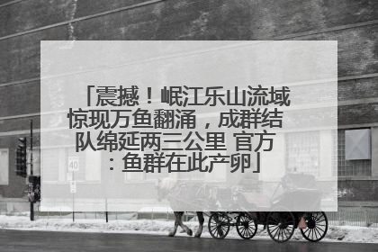 震撼！岷江乐山流域惊现万鱼翻涌，成群结队绵延两三公里 官方：鱼群在此产卵