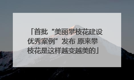 首批“美丽攀枝花建设优秀案例”发布 原来攀枝花是这样越变越美的