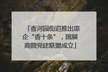 香河园街道推出惠企“香十条”，国展商圈党建联盟成立