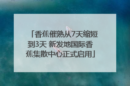 香蕉催熟从7天缩短到3天 新发地国际香蕉集散中心正式启用