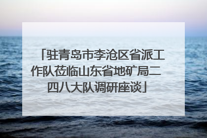 驻青岛市李沧区省派工作队莅临山东省地矿局二四八大队调研座谈