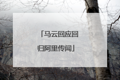 马云回应回归阿里传闻