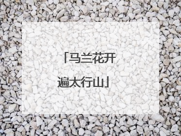 马兰花开遍太行山