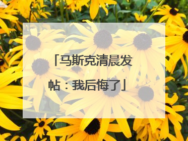 马斯克清晨发帖：我后悔了