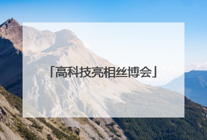 高科技亮相丝博会