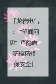 龙岩电气：“望闻问切”查隐患 精检精修保安全