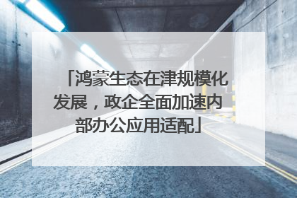 鸿蒙生态在津规模化发展，政企全面加速内部办公应用适配