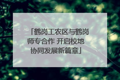 鹤岗工农区与鹤岗师专合作 开启校地协同发展新篇章