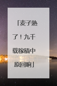 麦子熟了！九千载稼穑中原回响