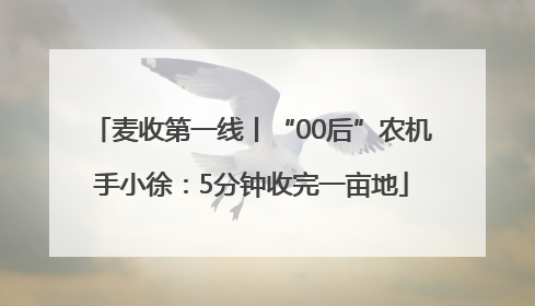 麦收第一线丨“00后”农机手小徐：5分钟收完一亩地