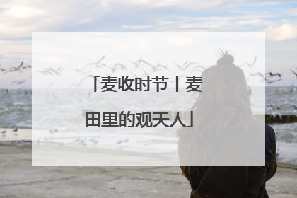 麦收时节丨麦田里的观天人