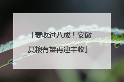 麦收过八成！安徽夏粮有望再迎丰收