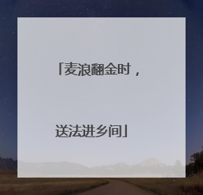 麦浪翻金时，送法进乡间