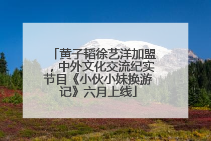 黄子韬徐艺洋加盟，中外文化交流纪实节目《小伙小妹换游记》六月上线
