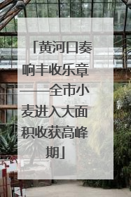 黄河口奏响丰收乐章——全市小麦进入大面积收获高峰期