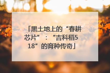黑土地上的“春耕芯片”：“吉科稻518”的育种传奇