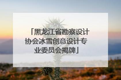 黑龙江省勘察设计协会冰雪创意设计专业委员会揭牌