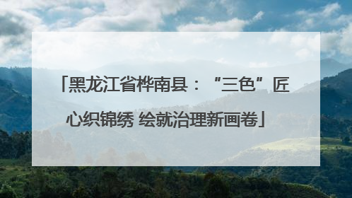 黑龙江省桦南县：“三色”匠心织锦绣 绘就治理新画卷