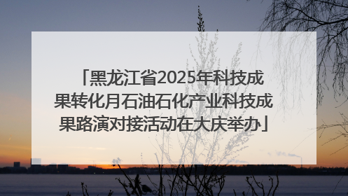 黑龙江省2025年科技成果转化月石油石化产业科技成果路演对接活动在大庆举办
