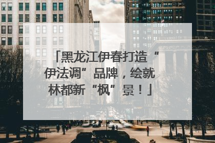 黑龙江伊春打造“伊法调”品牌，绘就林都新“枫”景！