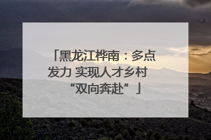 黑龙江桦南：多点发力 实现人才乡村“双向奔赴”