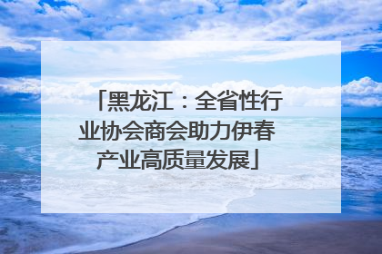 黑龙江：全省性行业协会商会助力伊春产业高质量发展