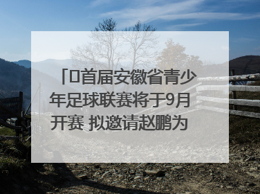 ﻿首届安徽省青少年足球联赛将于9月开赛 拟邀请赵鹏为先导赛开球