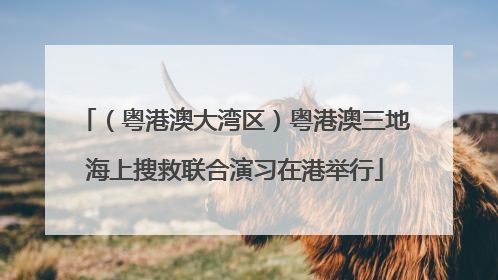（粤港澳大湾区）粤港澳三地海上搜救联合演习在港举行
