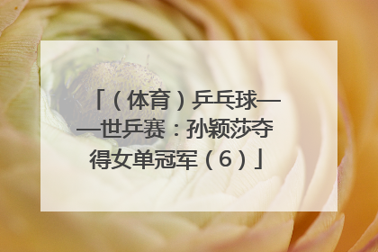 （体育）乒乓球——世乒赛：孙颖莎夺得女单冠军（6）