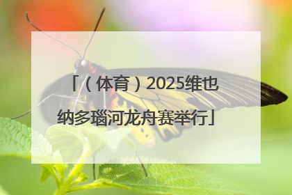 （体育）2025维也纳多瑙河龙舟赛举行