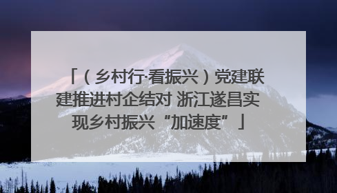 （乡村行·看振兴）党建联建推进村企结对 浙江遂昌实现乡村振兴“加速度”