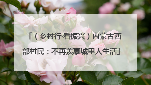（乡村行·看振兴）内蒙古西部村民：不再羡慕城里人生活
