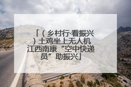 （乡村行·看振兴）土鸡坐上无人机 江西南康“空中快递员”助振兴
