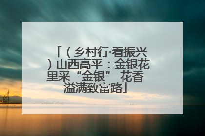 （乡村行·看振兴）山西高平：金银花里采“金银” 花香溢满致富路