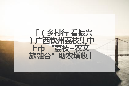 （乡村行·看振兴）广西钦州荔枝集中上市 “荔枝+农文旅融合”助农增收