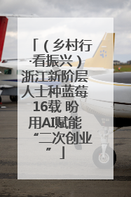 （乡村行·看振兴）浙江新阶层人士种蓝莓16载 盼用AI赋能“二次创业”