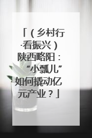 （乡村行·看振兴）陕西略阳：“小瓢儿”如何撬动亿元产业？