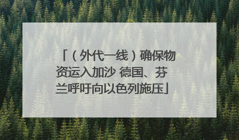 （外代一线）确保物资运入加沙 德国、芬兰呼吁向以色列施压