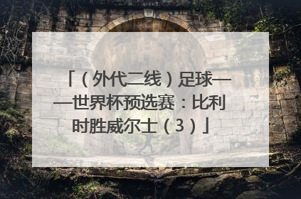 （外代二线）足球——世界杯预选赛：比利时胜威尔士（3）