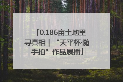 0.186亩土地里寻真相｜“天平杯·随手拍”作品展播