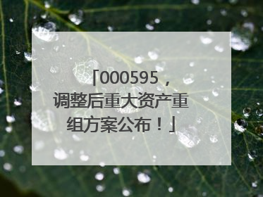 000595，调整后重大资产重组方案公布！
